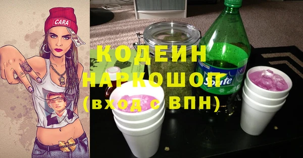 СК Бородино
